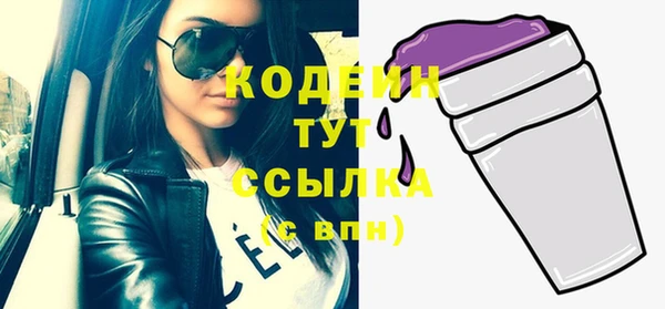 СК Бронницы