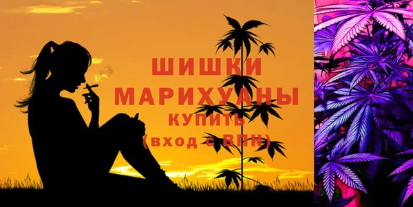 хмурый Верхний Тагил