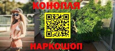 индика Жуковский