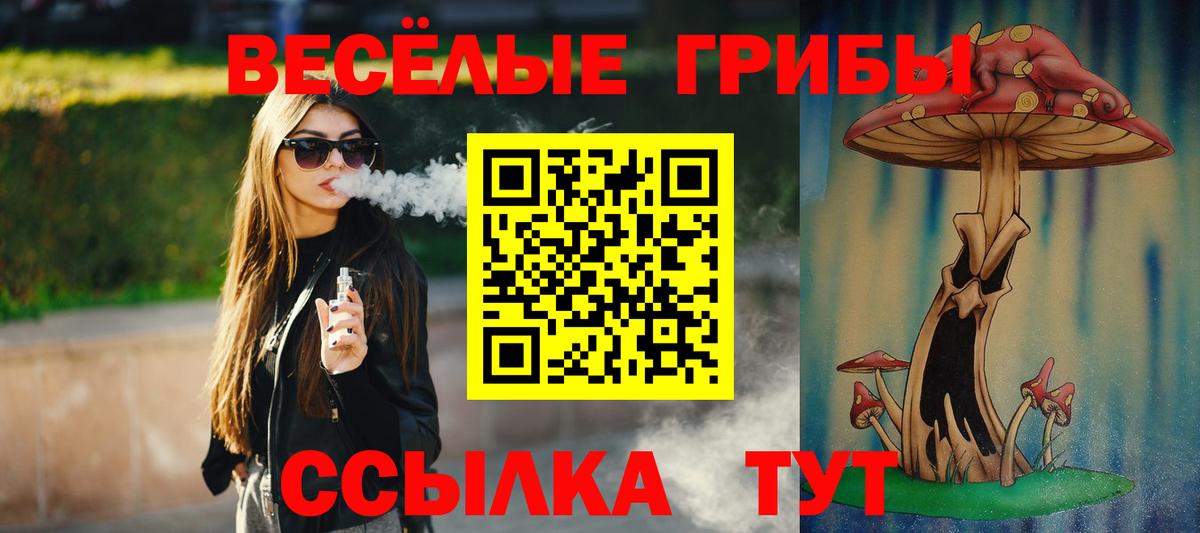 Галлюциногенные грибы Psilocybe  Мариинск 